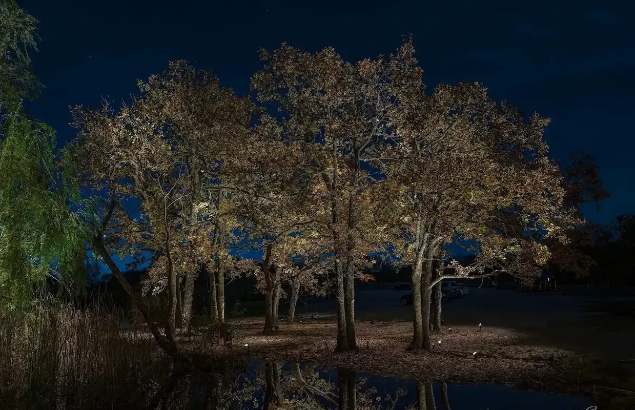 Trees illuminated with golden light against a dark blue sky, reflecting in a body of water.