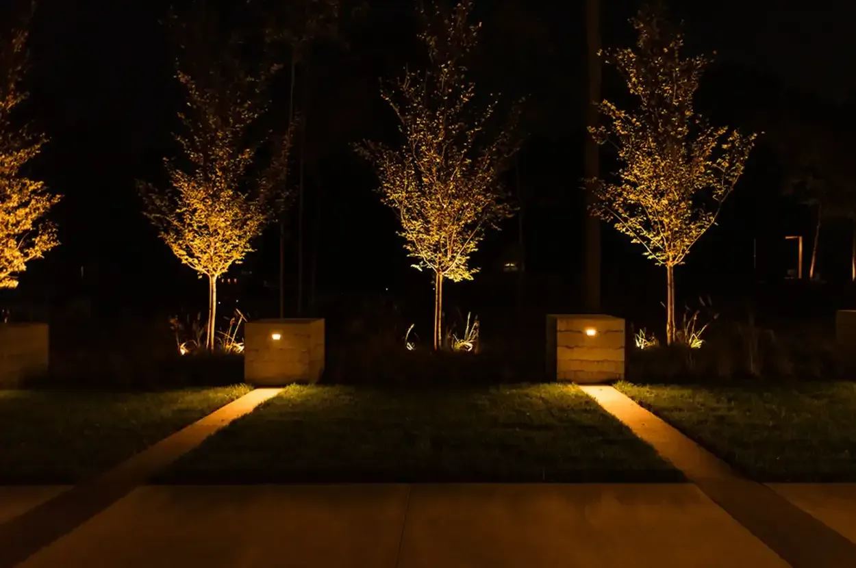 Lit trees and square light fixtures illuminate a grassy path at night.