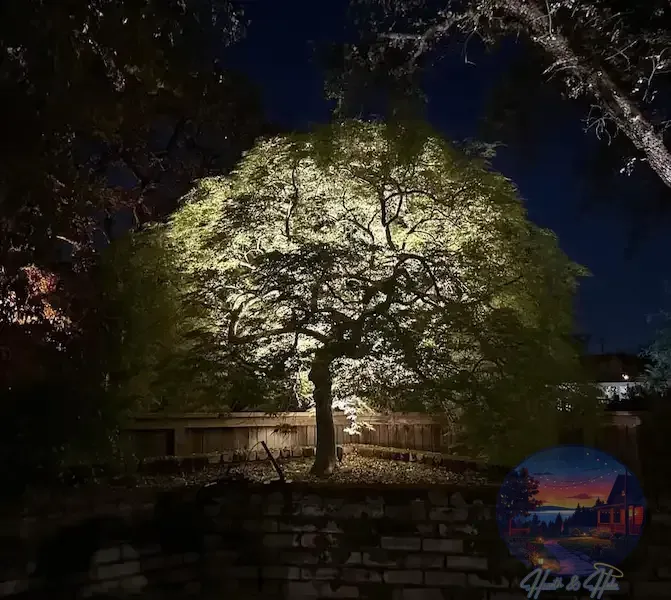 Landscape lighting illuminates a garden of red and white flowers at dusk.