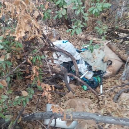 A backpack is laying on the ground in the woods