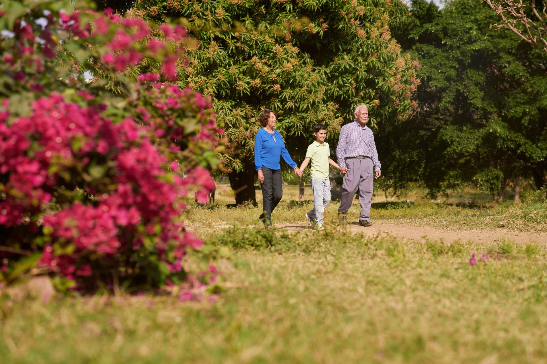 the sun is shining through the trees in the forest