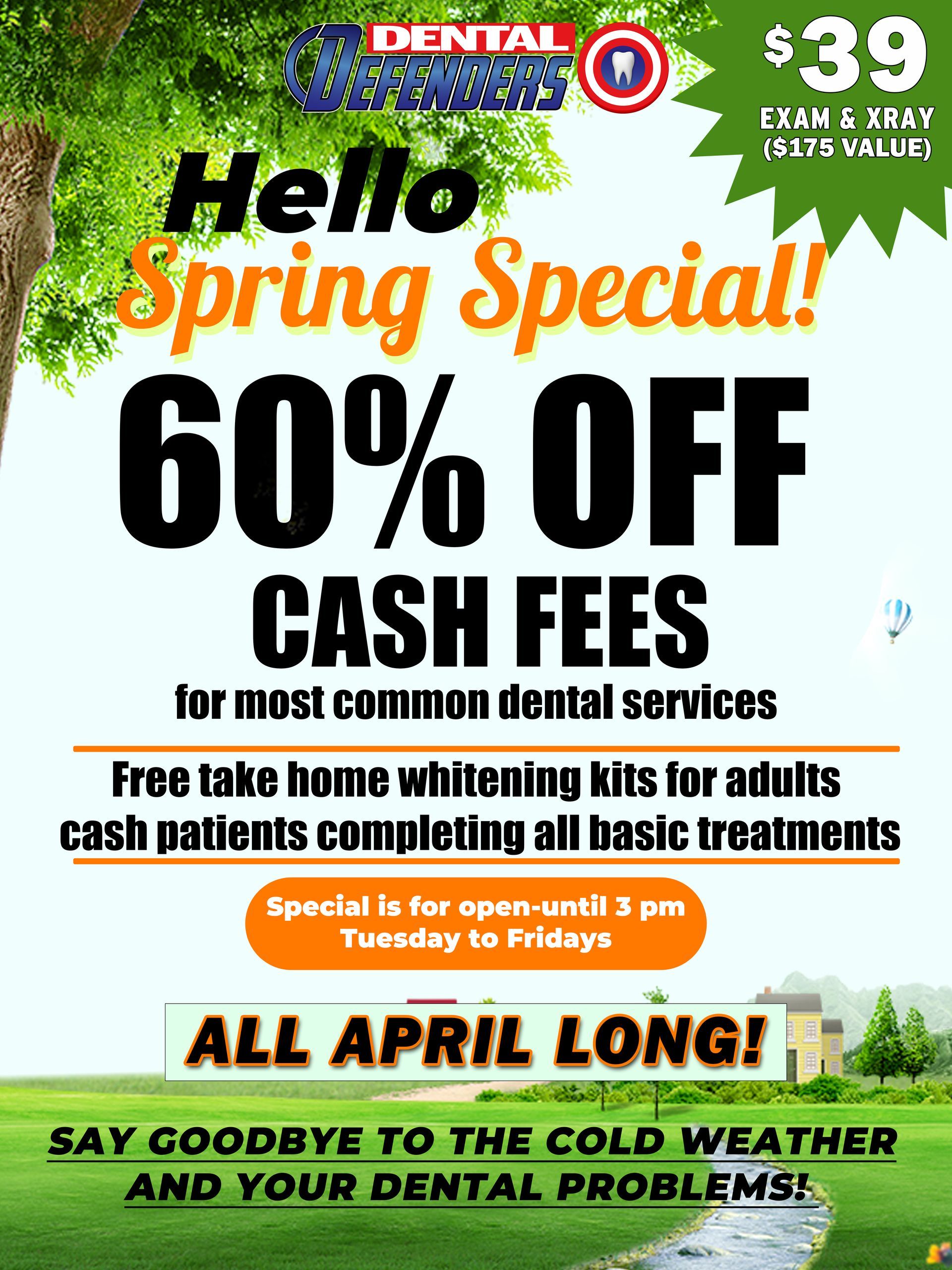 Dental Defenders Spring Promotion