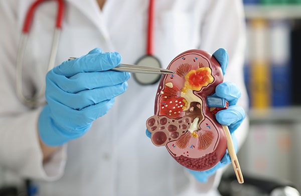 DR. GUILLERMO EDUARDO DOMINGUEZ GARCIA