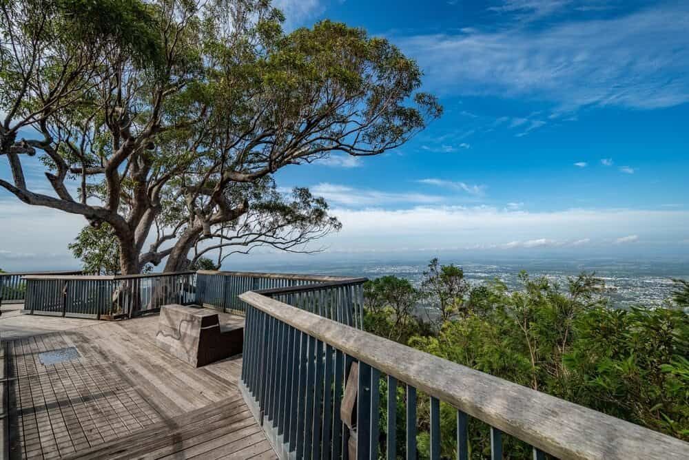 A View of a City From a Balcony With a Tree in the Background — Aspire Diesel In Rockhampton, QLD