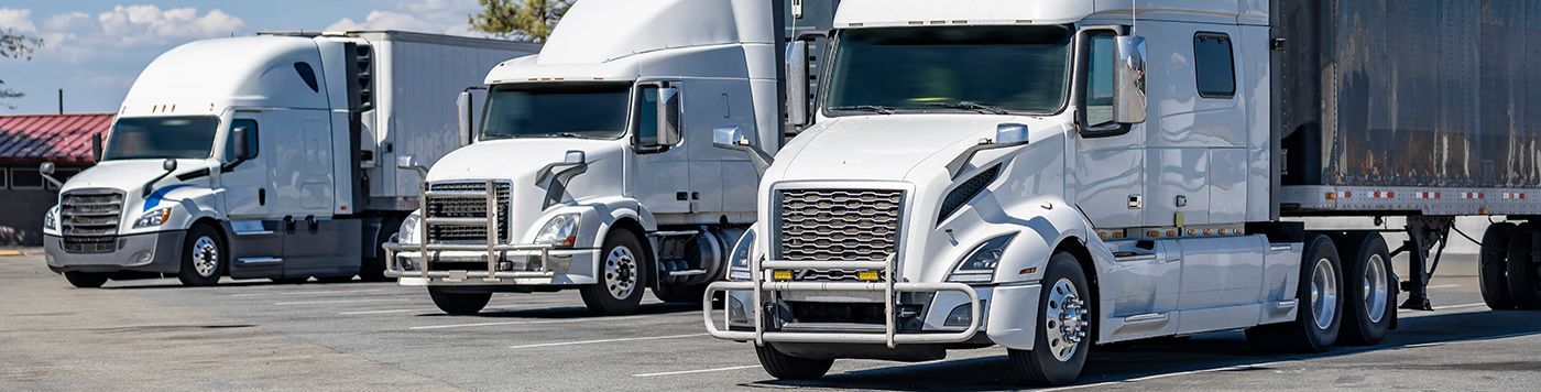 Three white semi-trucks parked in a row on a gravel lot under a bright sky.