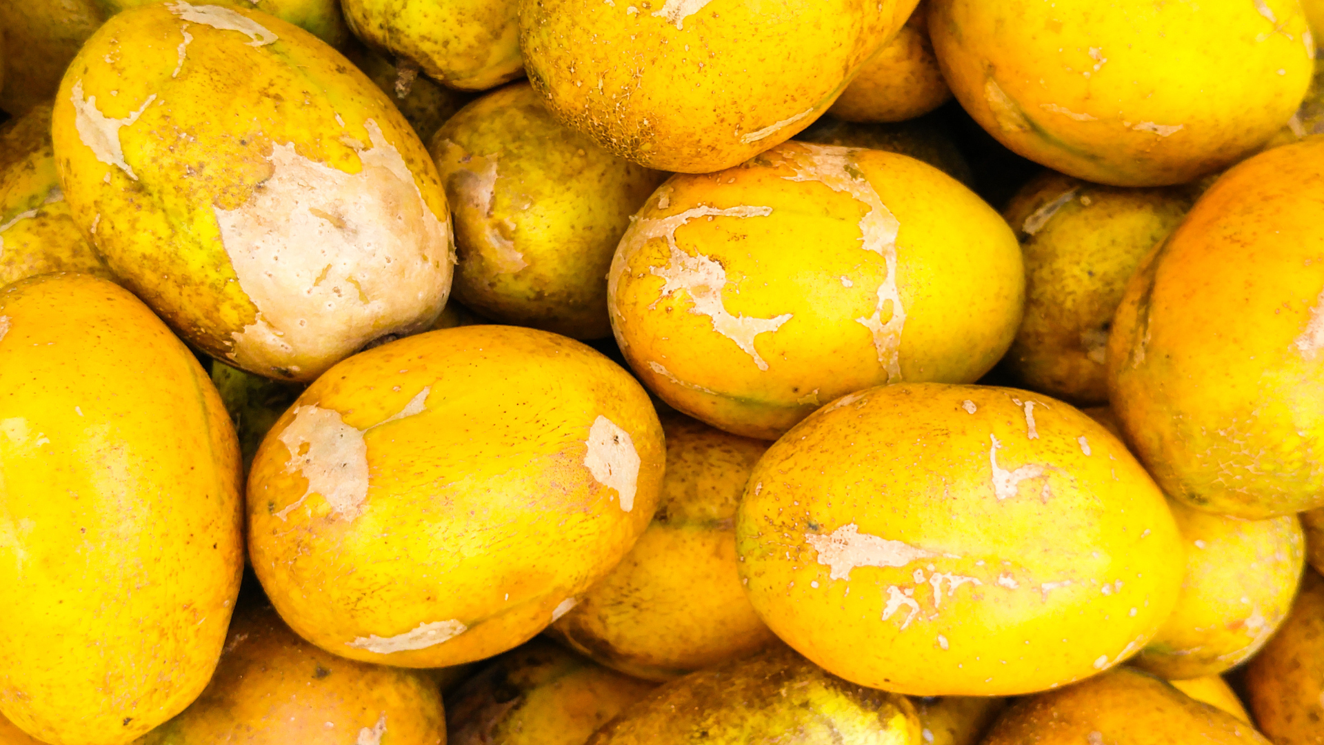 Um close de uma pilha de batatas amarelas.