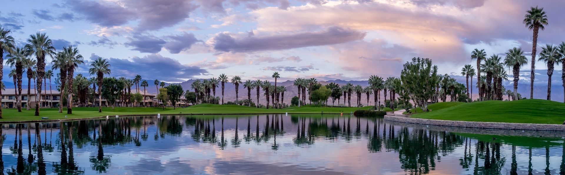 A serene landscape with palm trees and a reflective lake under a cloudy sky.