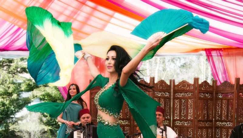 Belly Dancer Party Entertainment