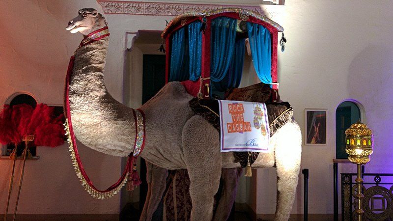 Galas and fundraising Arabian nights themed event with camel decoration