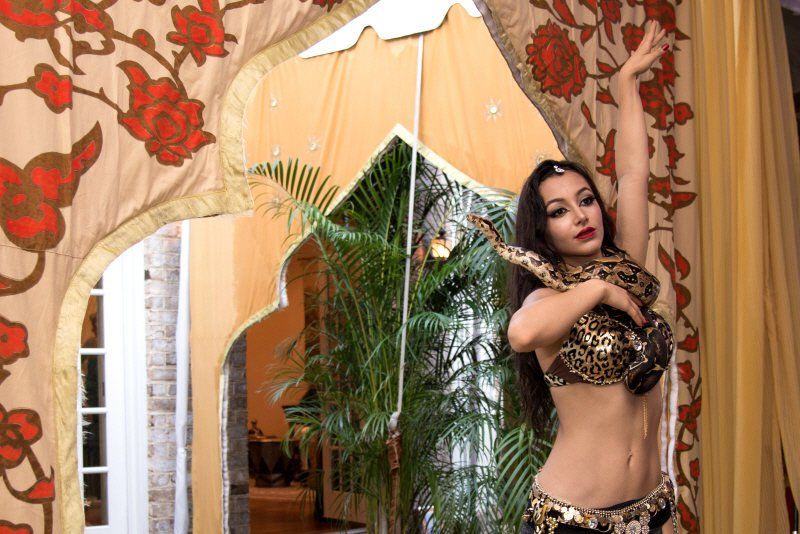 Adult Social Event Moroccan snake charmer belly dancer