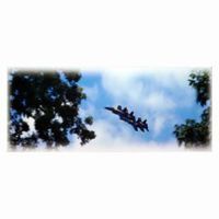 Formation of jets in flight against a cloudy sky, framed by tree branches.