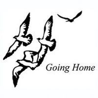 Black silhouettes of birds flying; text 