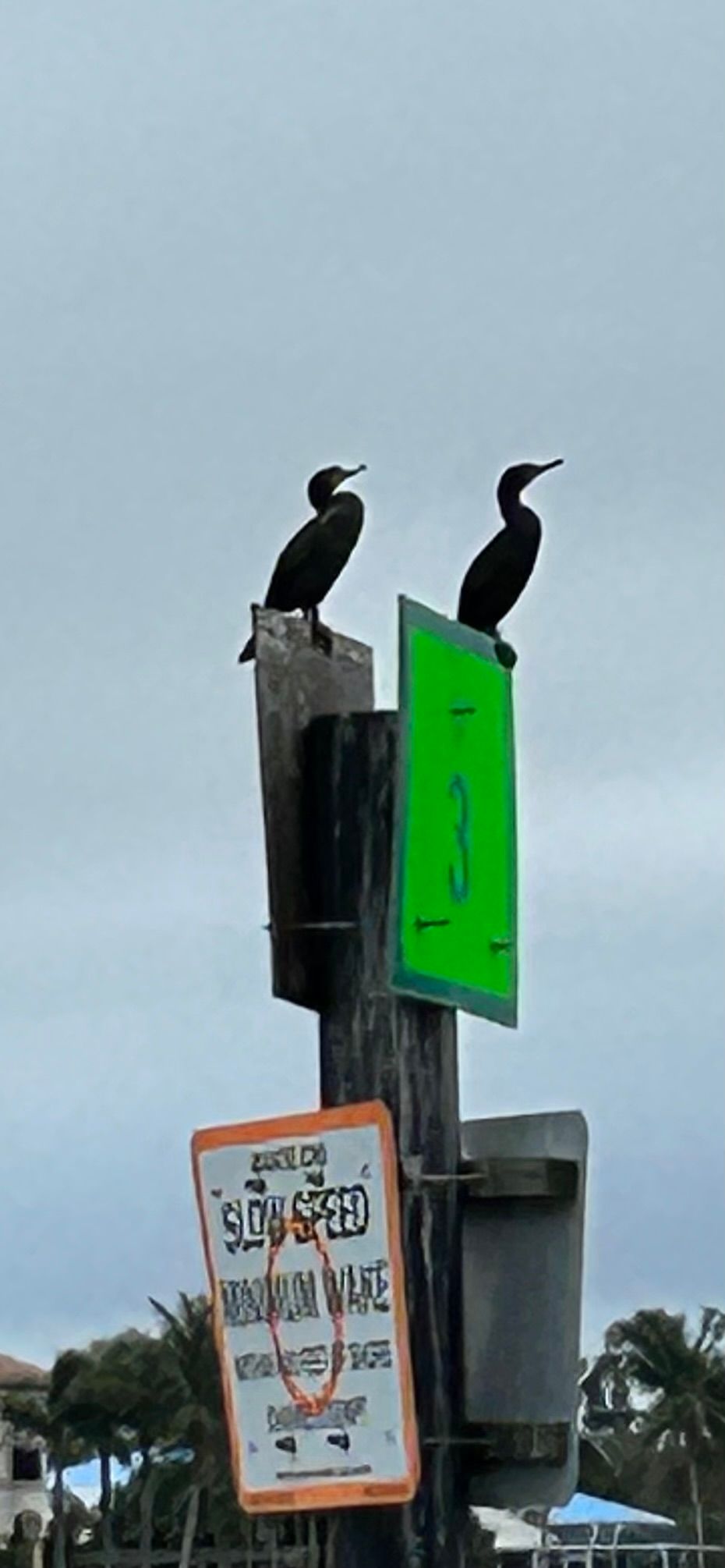 Two dark birds perched on a wooden post with signs, a green marker, and a cloudy sky.