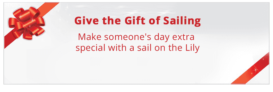 A banner that says give the gift of sailing make someone 's day extra special with a sail on the lily