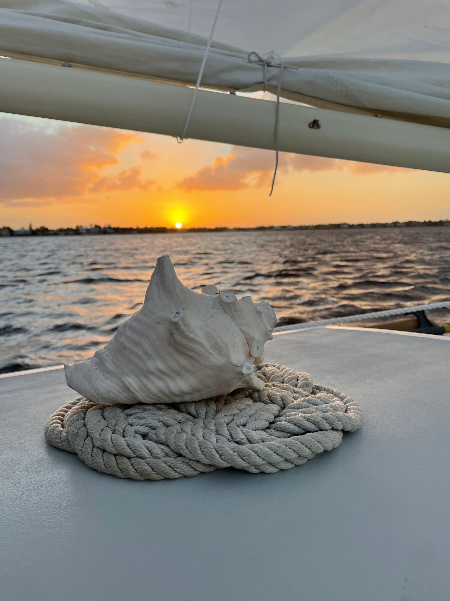 A sea shell is sitting on top of a rope on a boat. Resolute's horn is a Conch