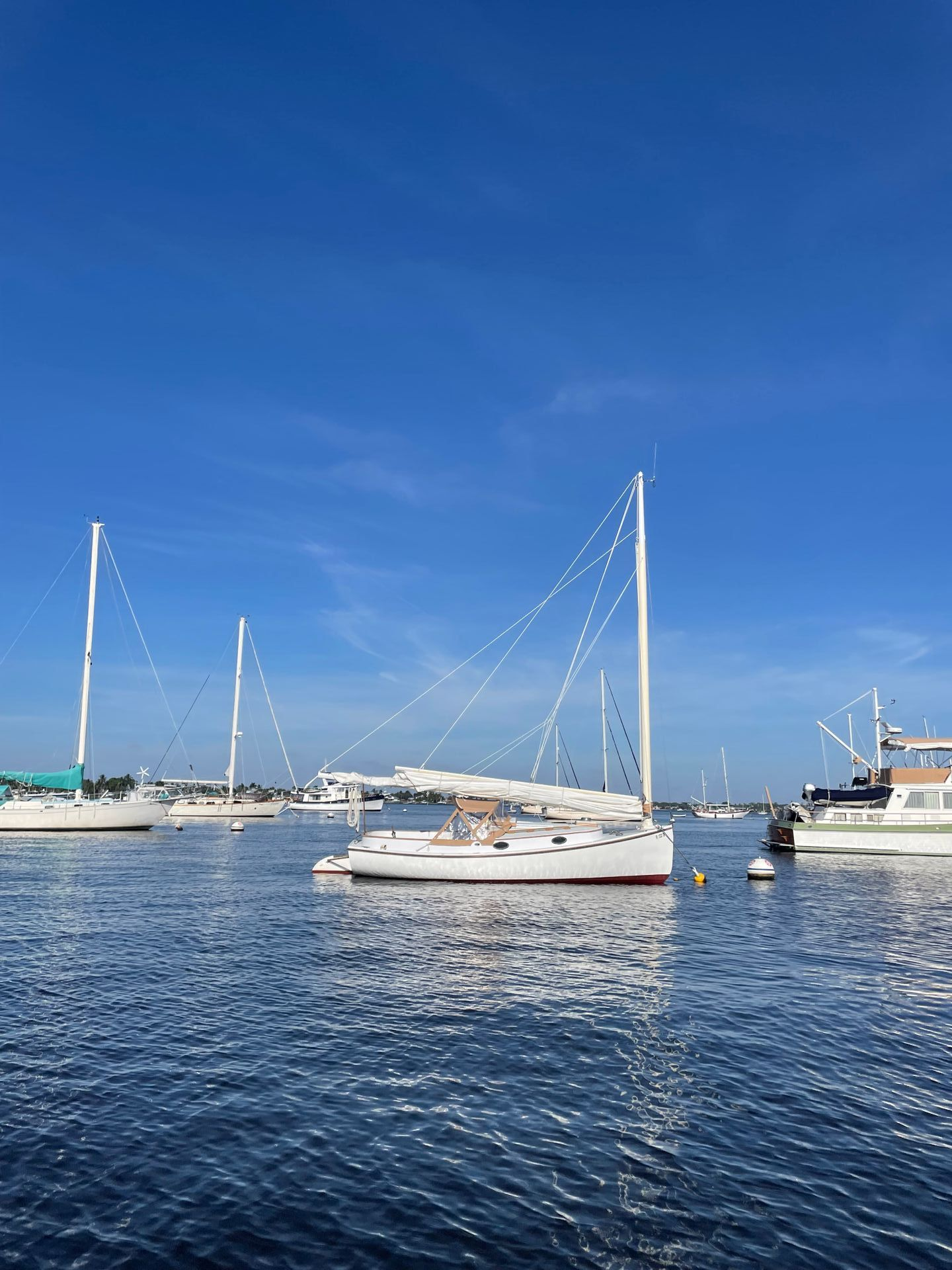 A group of sailboats are docked in a harbor on a sunny day at Sunset Bay Marina in Downtown Stuart