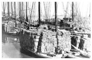 A black and white photo of scow boats docked in a harbor with hay on board