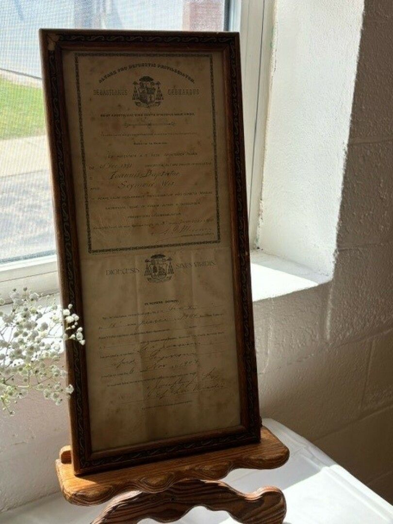 Framed vintage certificate on a wooden stand, illuminated by sunlight from a nearby window.