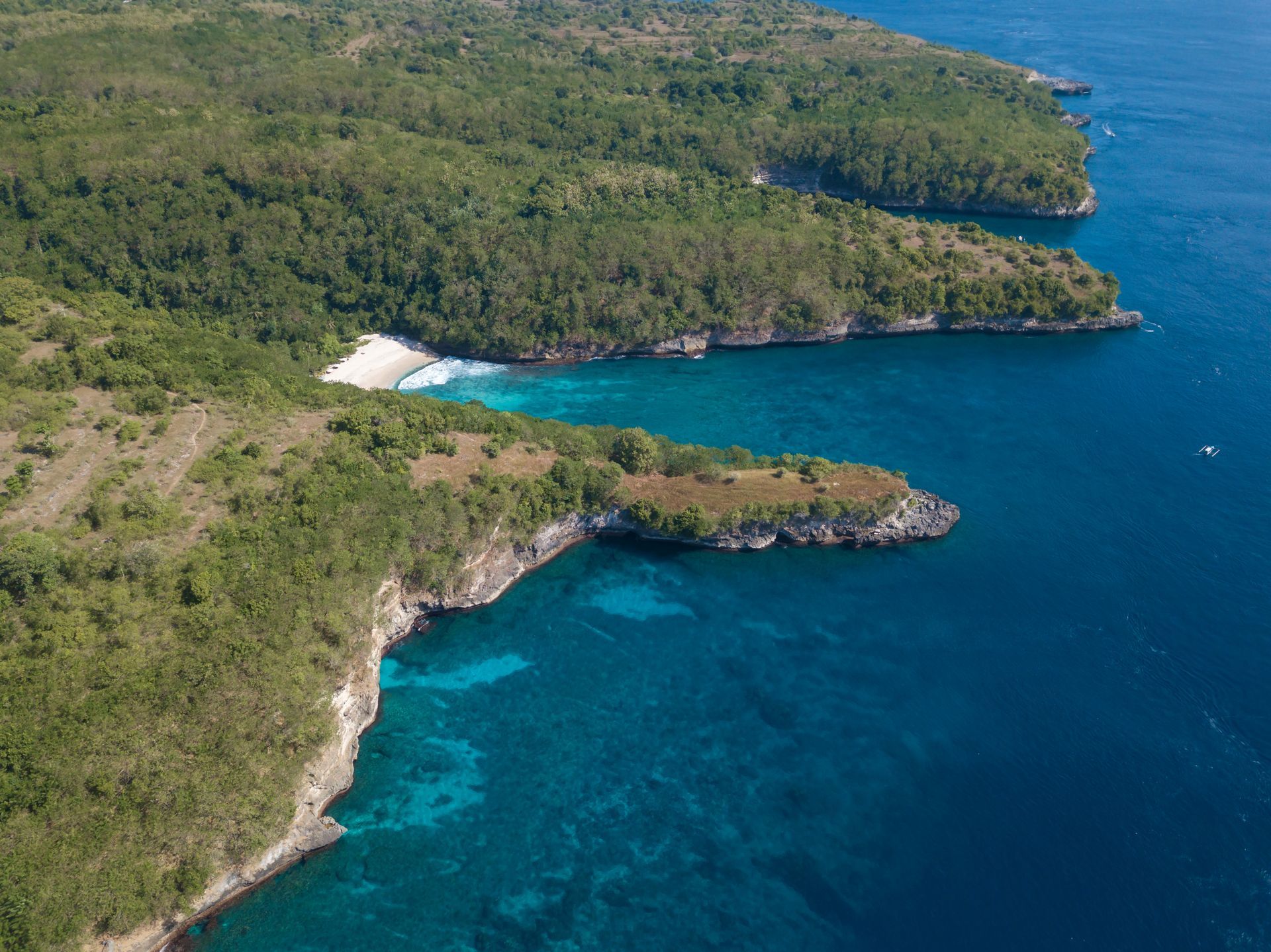 Aerial view of a lush green coastline with cliffs and a white sand beach, meeting turquoise and deep blue ocean.