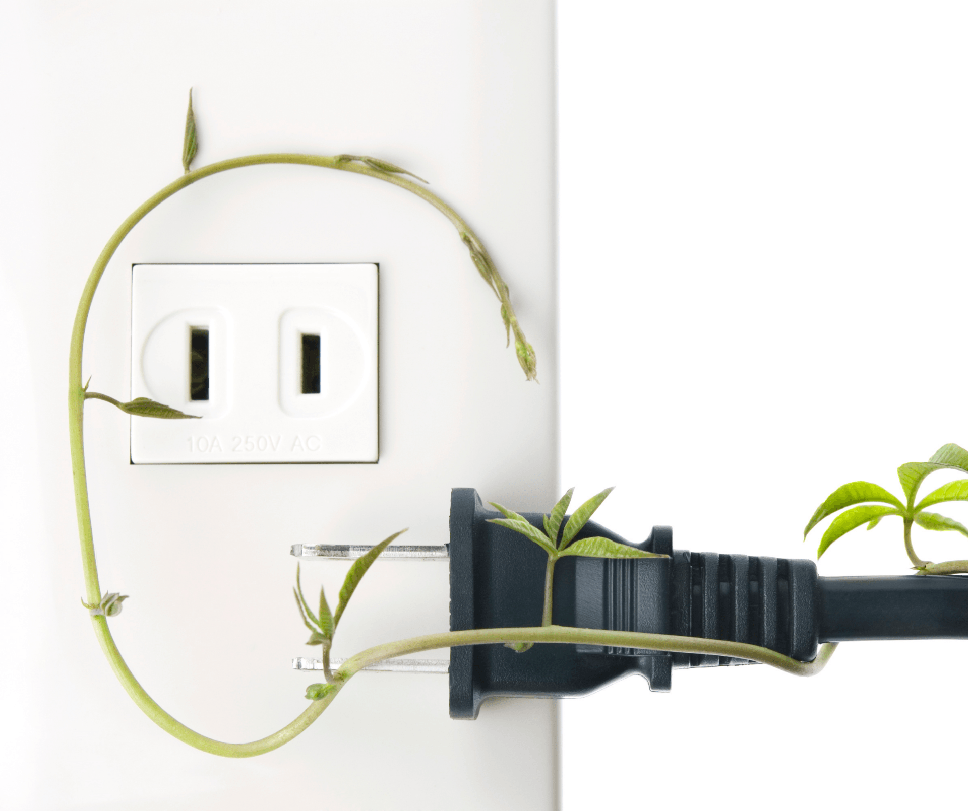 Top 5 Energy Conservation Tips for Restaurants