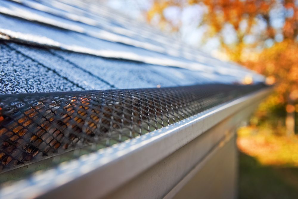 Close-up of a rooftop gutter with leaf guard mesh in sunlight, autumn trees blurred in background