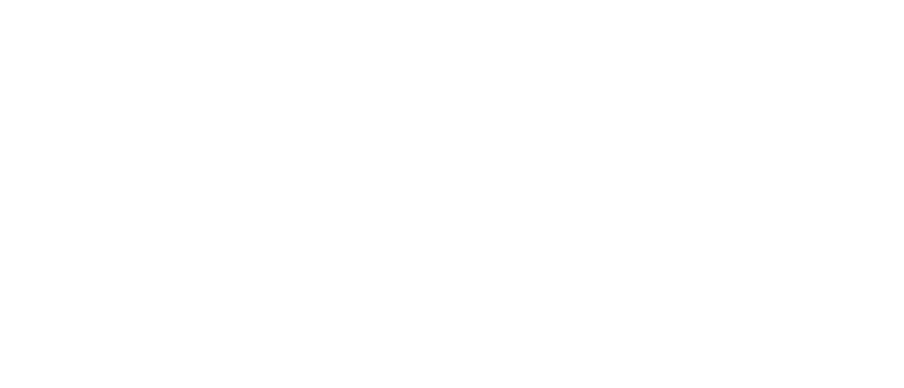 Distribuidora EFEGE LOGO