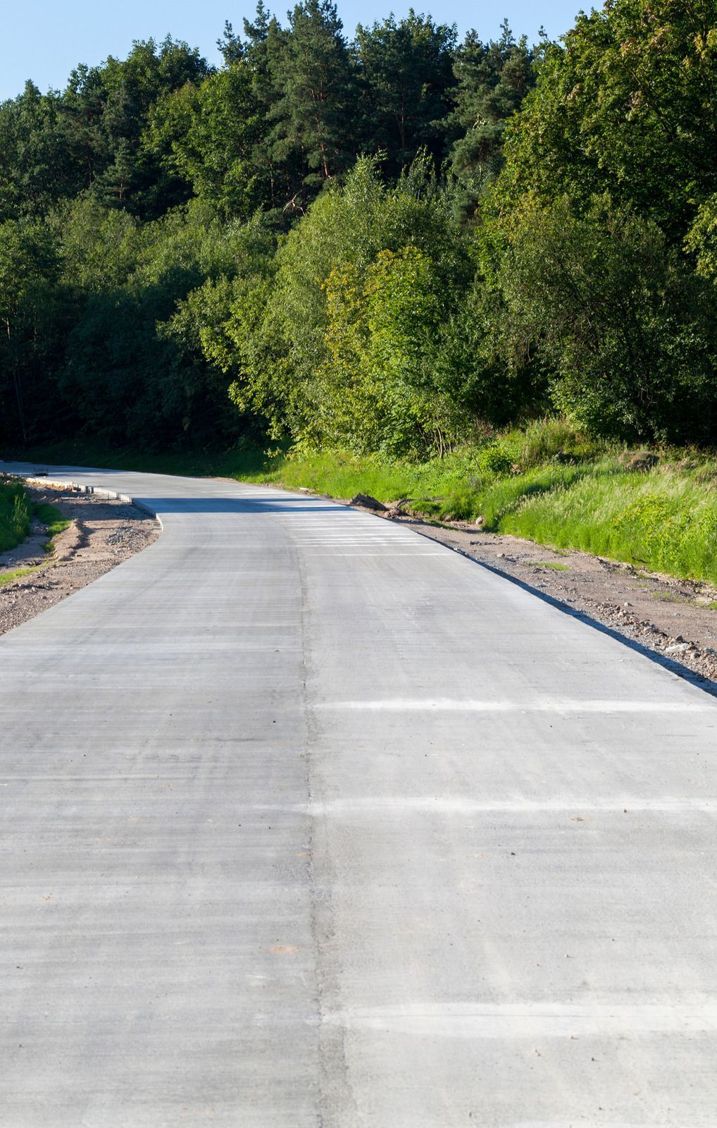A concrete road going through a forest with trees on both sides.