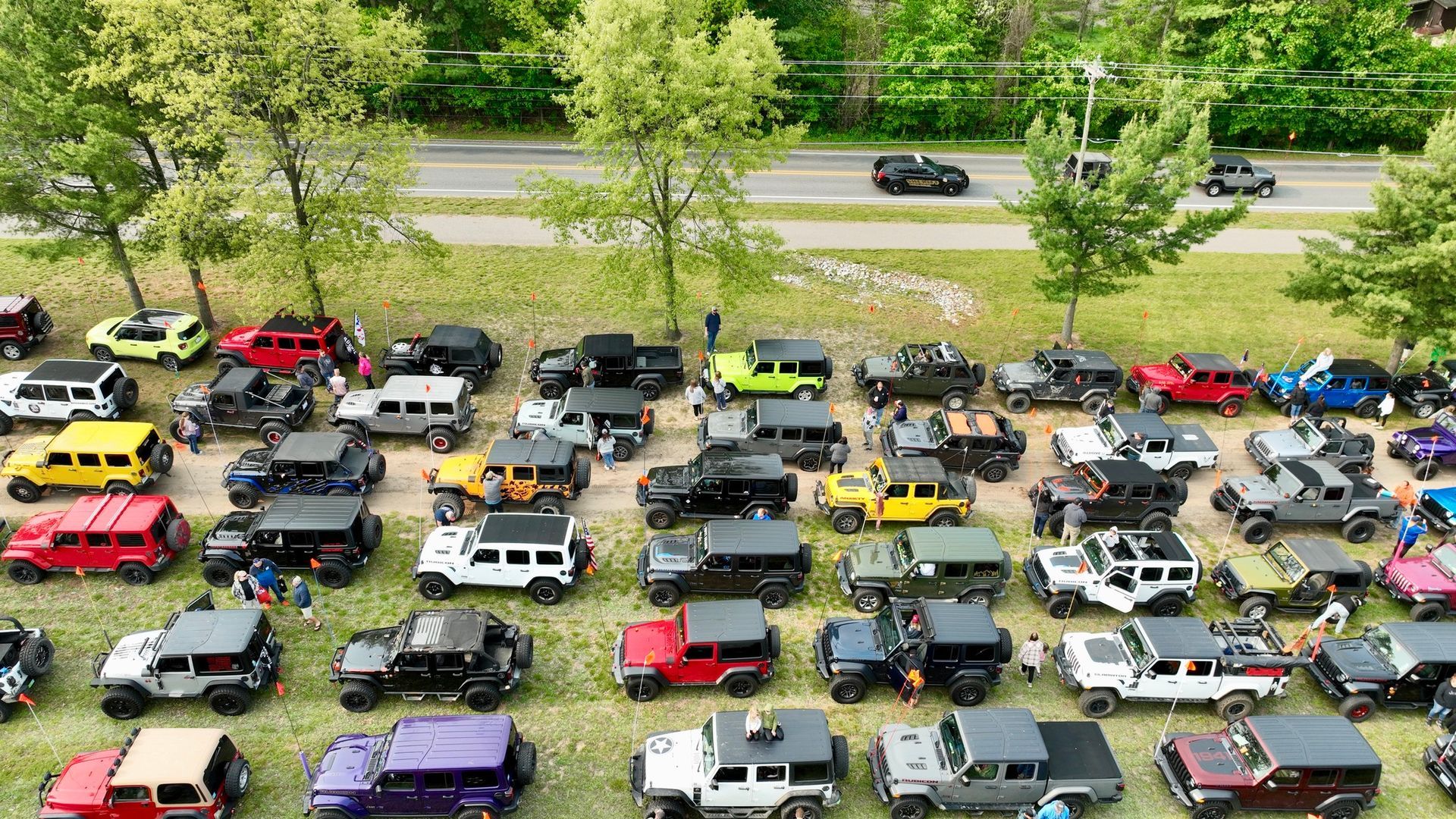 Large gathering of colorful Jeeps parked on grass near a road.