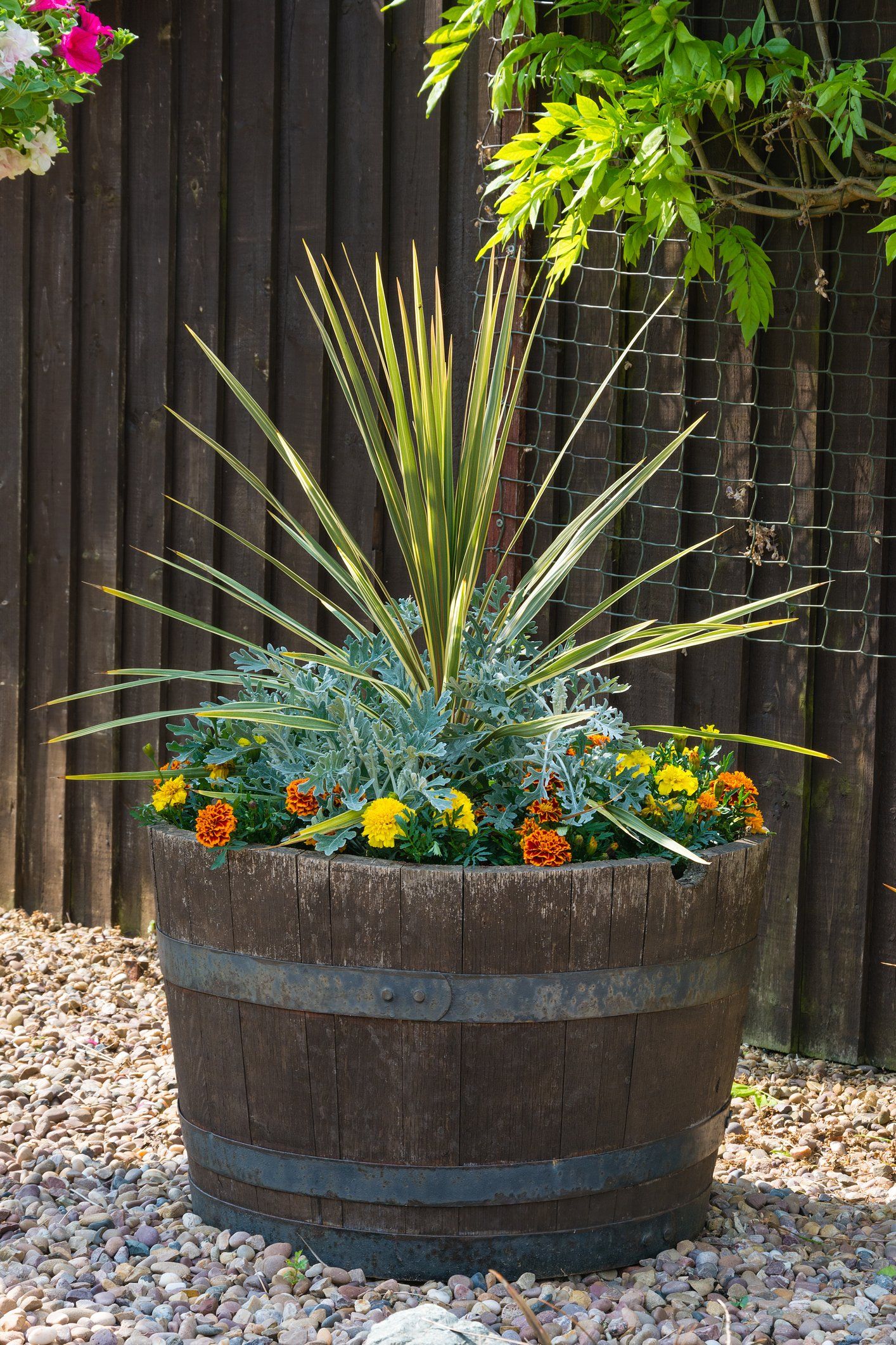 A large wooden barrel filled with flowers and plants