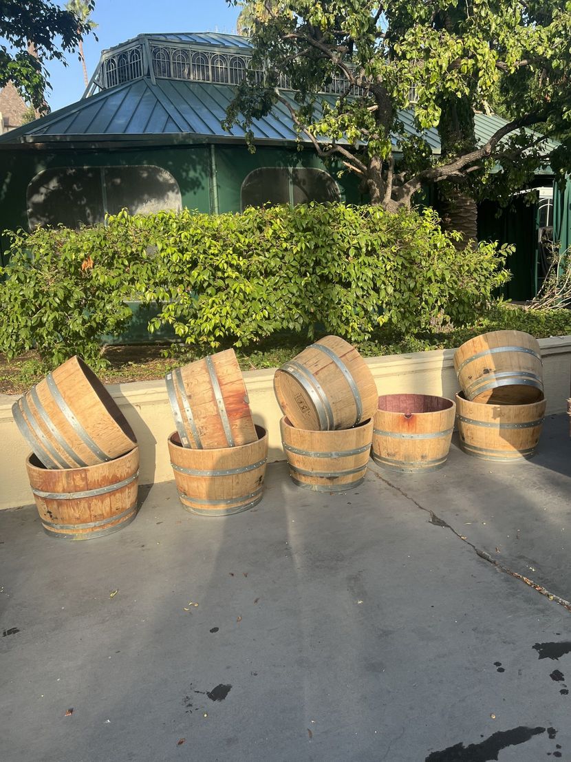 A bunch of wooden barrels are sitting on the ground