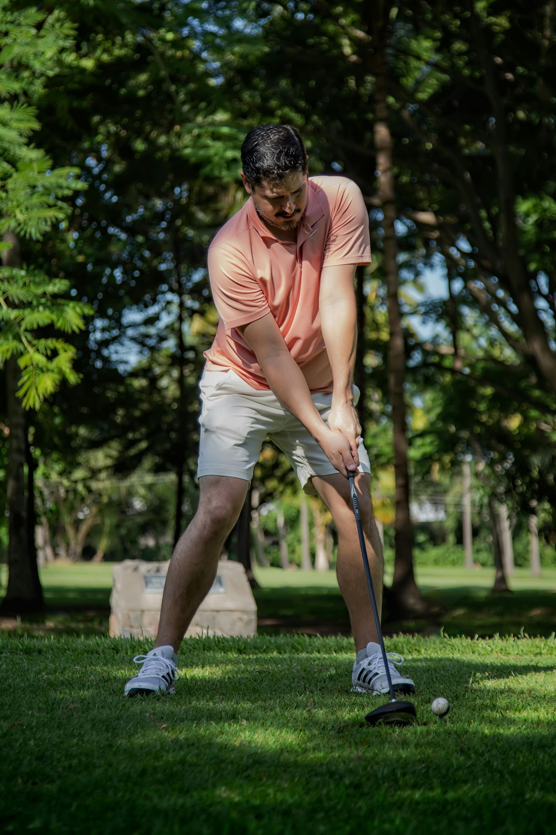 Man in peach polo and white shorts golfing, swing in motion on a green lawn.