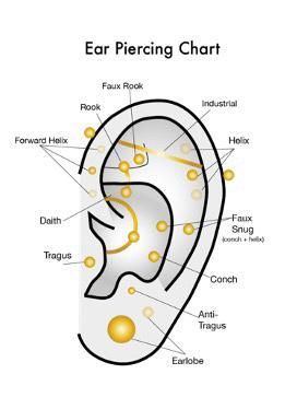 Ear piercing chart: labeled ear diagram showing various piercing locations with corresponding names.