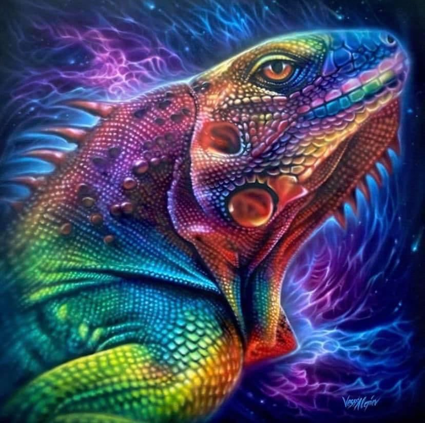 Limited Edition Iguana Print