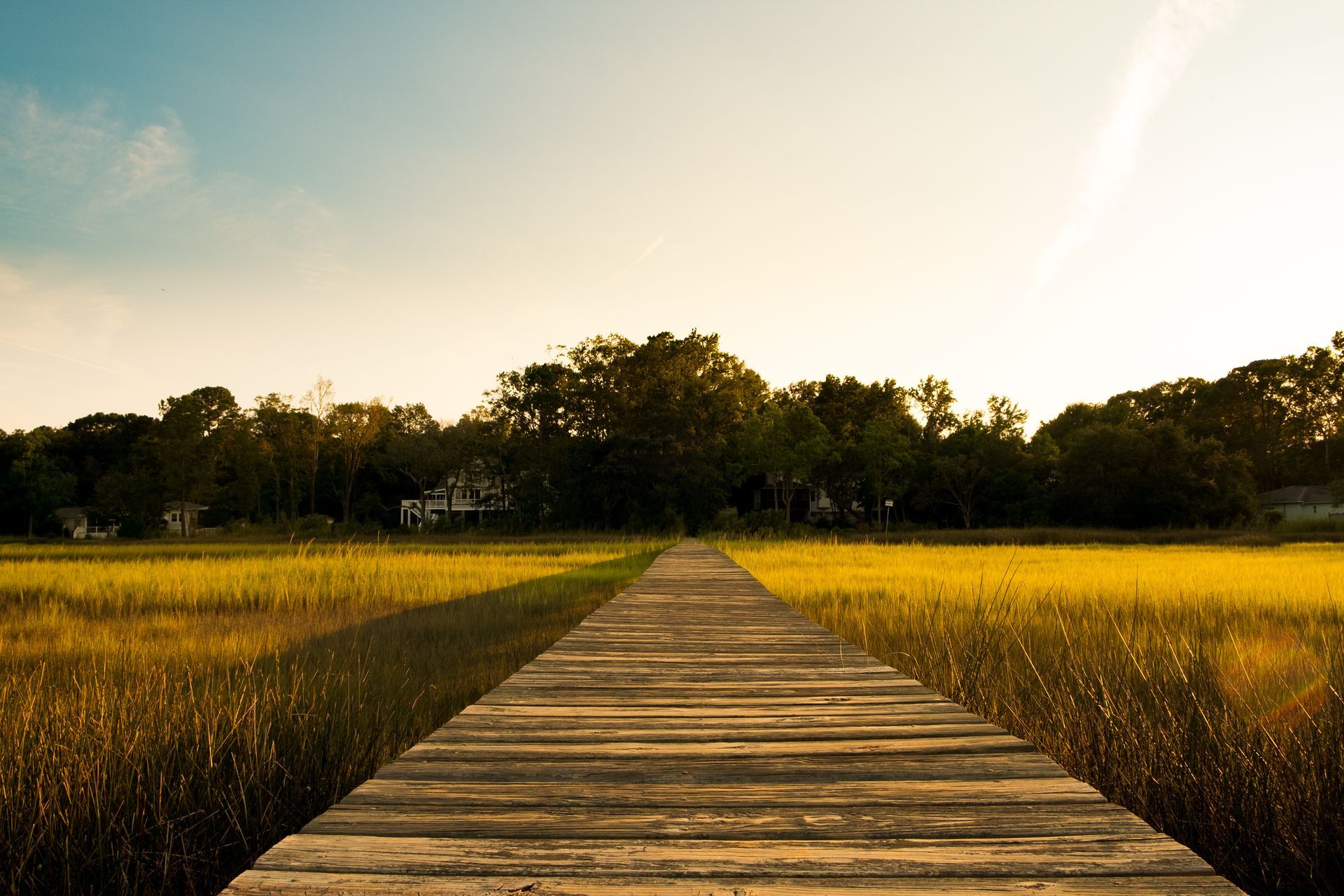 Wooden walkway through tall grass towards trees and a house under a golden sky.