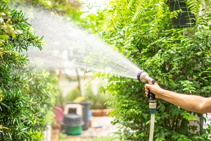 Gardening services