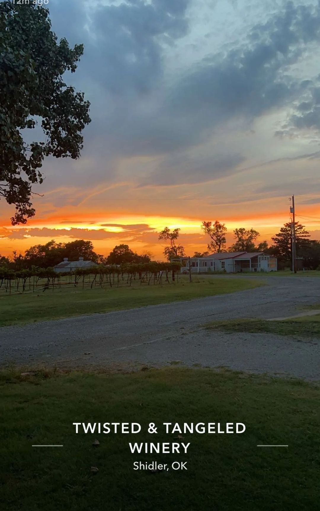 A picture of a sunset at twisted and tangled winery