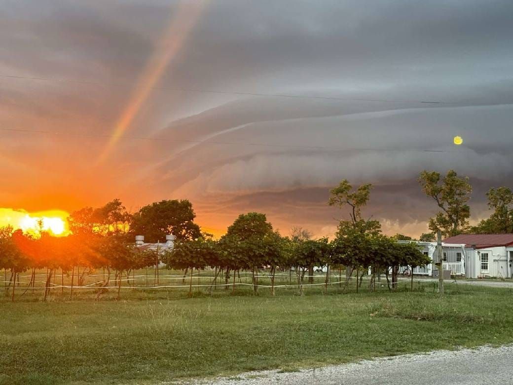 A sunset with a rainbow in the sky over a vineyard with a winery in the background.