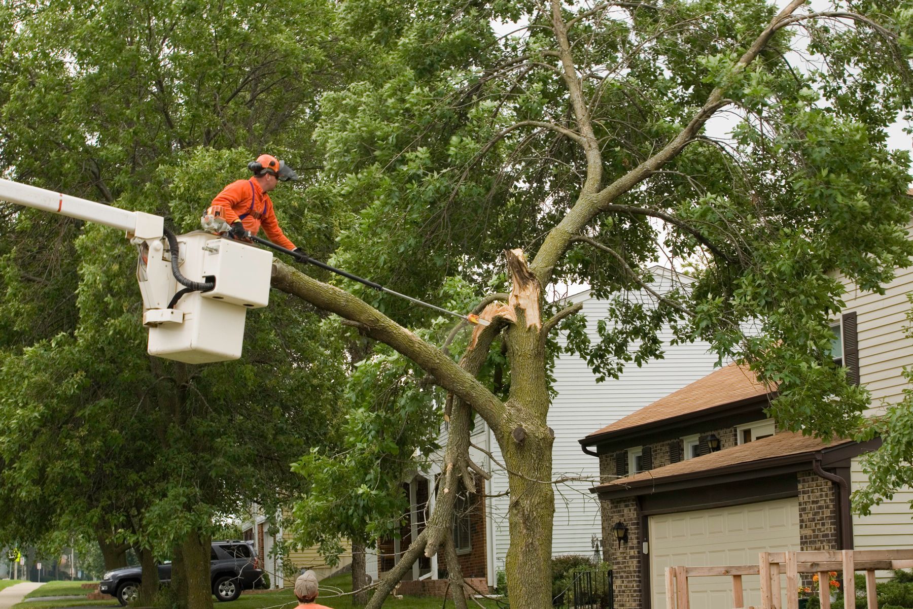 Storm damaged tree gets cut by an arborist in a residential neighborhood.