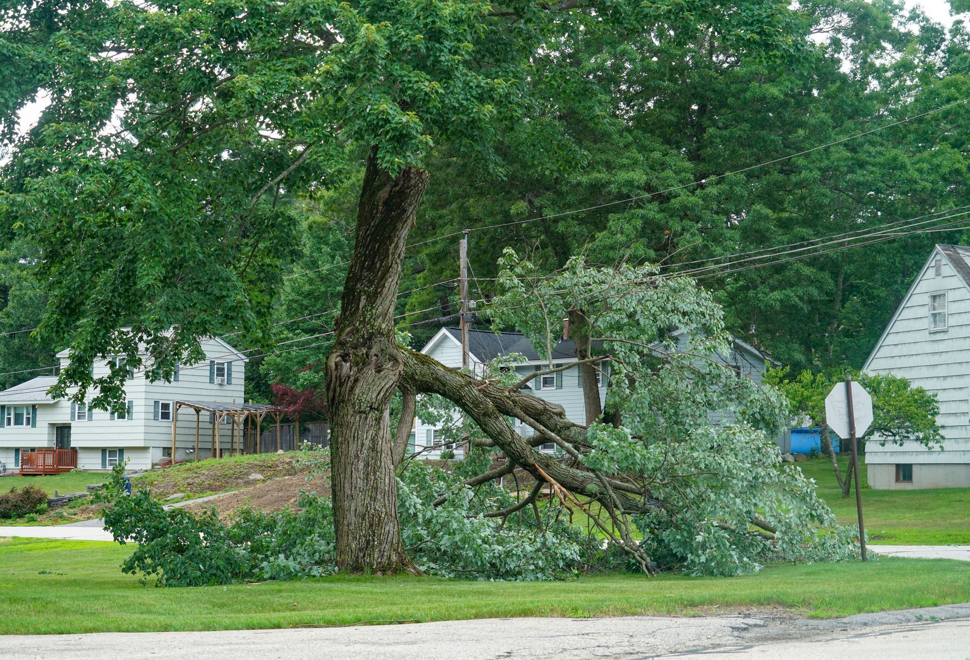 Dangerous fallen tree branch in residential neighborhood caused by storm.