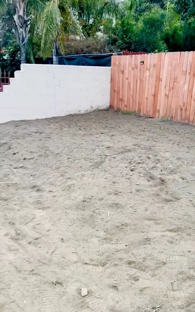 Empty dirt backyard with white wall, wooden fence, and trees in background.