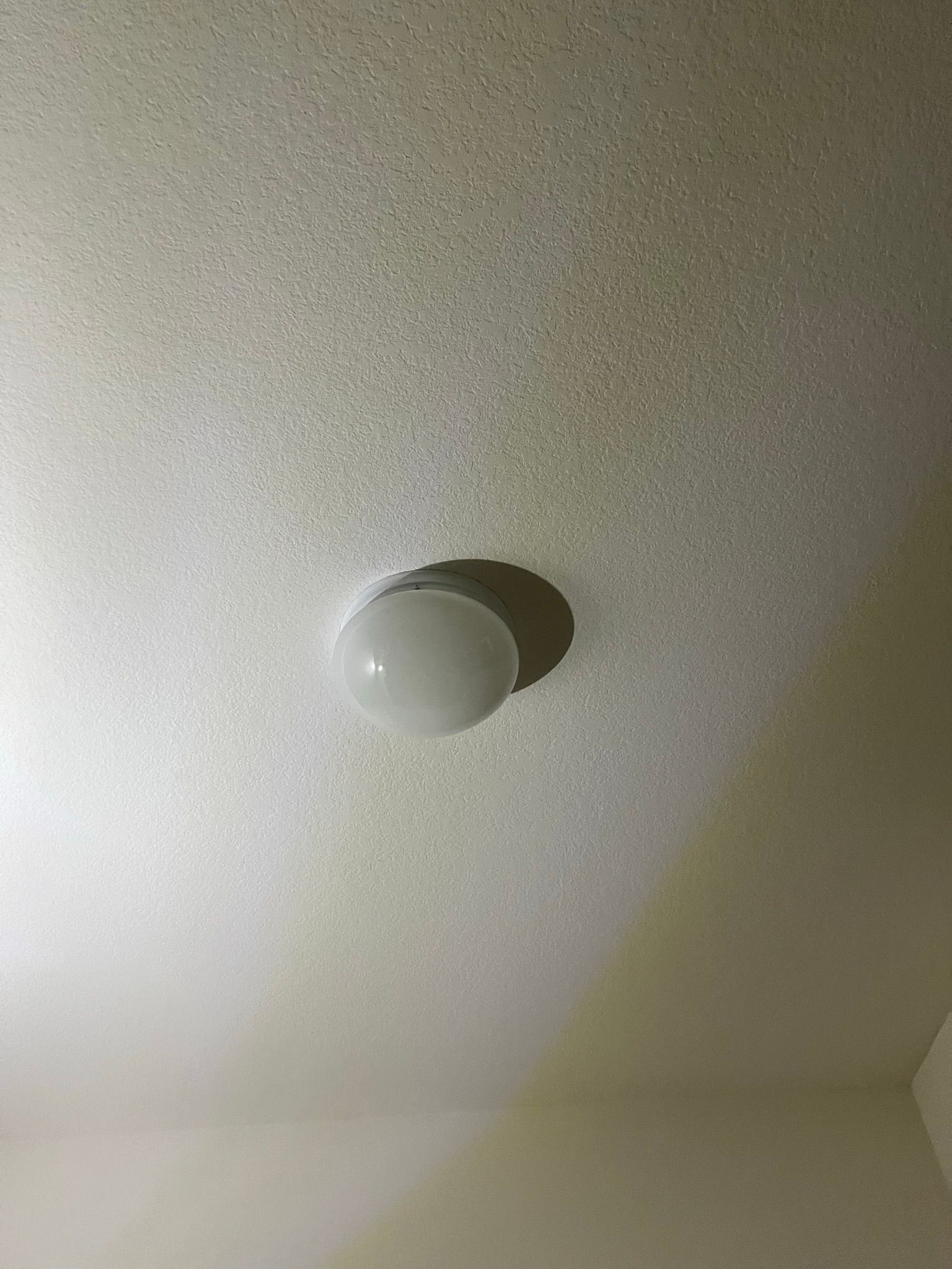 The Handy Bro, Wildomar CA, Sedco Hills Wildomar CA, Murrieta CA, Greer Ranch Murrieta CA, Temecula CA, Paloma Del Sol Temecula CA, Winchester CA, Menifee CA, Sun City Menifee CA, Quail Valley Menifee CA, Menifee Lakes Menifee CA, Lake Elsinore CA, Canyon Lake CA, French Valley CA, Dutch Village CA, Lake Village CA, La Cresta CA, Handyman, Handyman Near Me, Wildomar Handyman, Murrieta Handyman, Temecula Handyman, Winchester Handyman, Menifee Handyman, Lake Elsinore Handyman, Canyon Lake Handyman, French Valley Handyman, TV Mounting, TV Mounting Near Me, Wildomar TV Mounting, Murrieta TV Mounting, Temecula TV Mounting, Winchester TV Mounting, Menifee TV Mounting, Lake Elsinore TV Mounting, Canyon Lake TV Mounting, French Valley TV Mounting, Ceiling Fan Installation, Furniture Assembly, Furniture Assembler Near Me, Drywall Repair, Drywall Patching, Painting, Wildomar Painting, Murrieta Painting, Temecula Painting, Winchester Painting, Menifee Painting, Lake Elsinore Painting, Canyon Lake Painting, French Valley Painting, Interior Painting, Interior Painter Near Me, Cabinet Painting, Cabinet Painter Near Me, Door Painting, Garage Door Painting, Garage Door Painter Near Me, Faucet Replacement, Faucet Installation, Toilet Replacement, Toilet Installation, Light Switch Replacement, Outlet Replacement, Door Repair, Door Installation, French Door Installation, Picture Hanging, Fence Repair, Vinyl Floor Installation, Baseboard Installation, Baseboard Replacement, Baseboard Repair, Closet Modulation, Closet Remodel, Bathroom Remodel, Light Fixture Replacement, Light Fixture Installation, Bathroom Vanity Installation, Cabinet Installation, Cabinet Replacement, Cabinet Repair, Thermostat Replacement