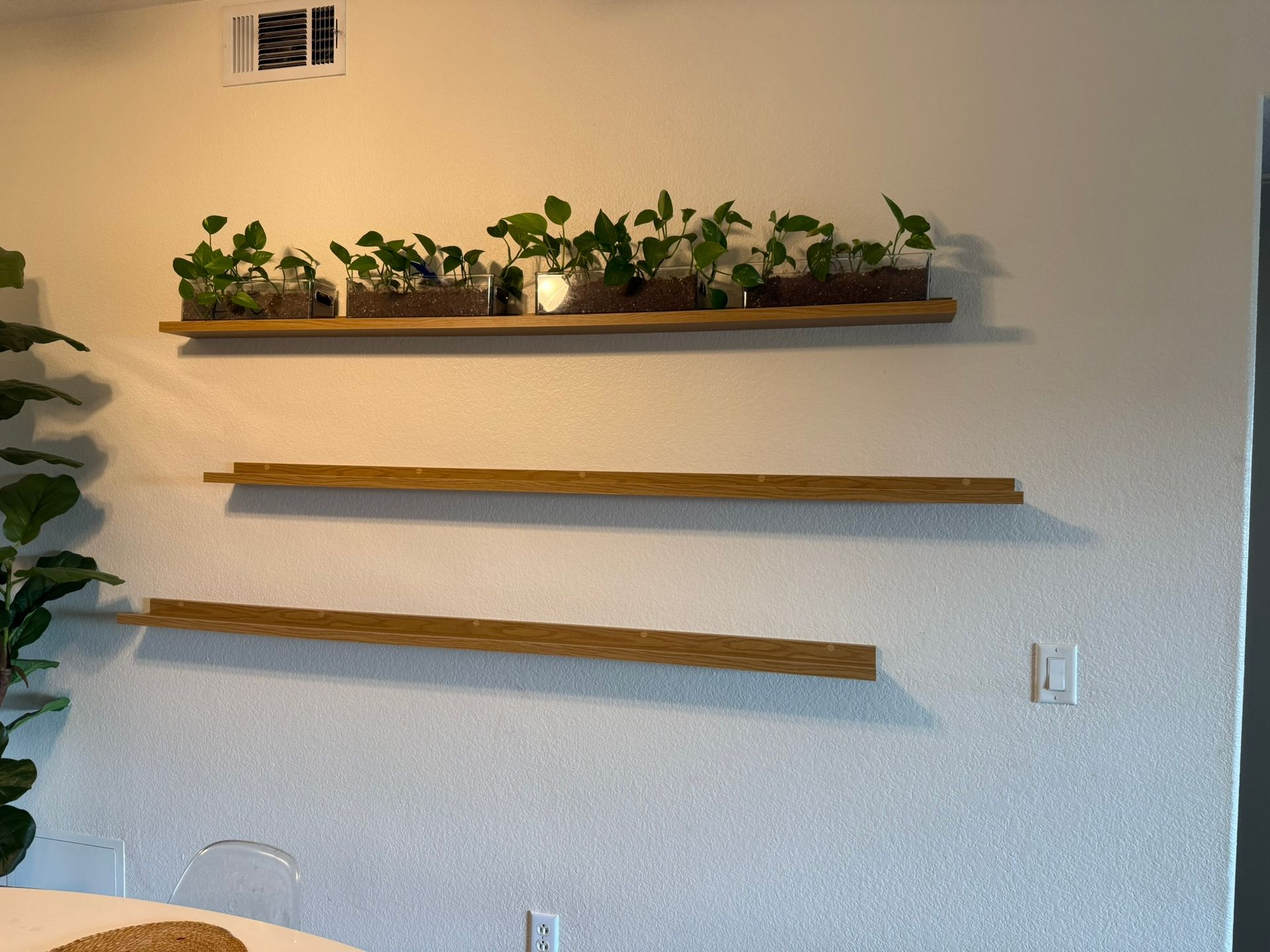 Wooden floating shelves on a white wall. The top shelf has potted plants.