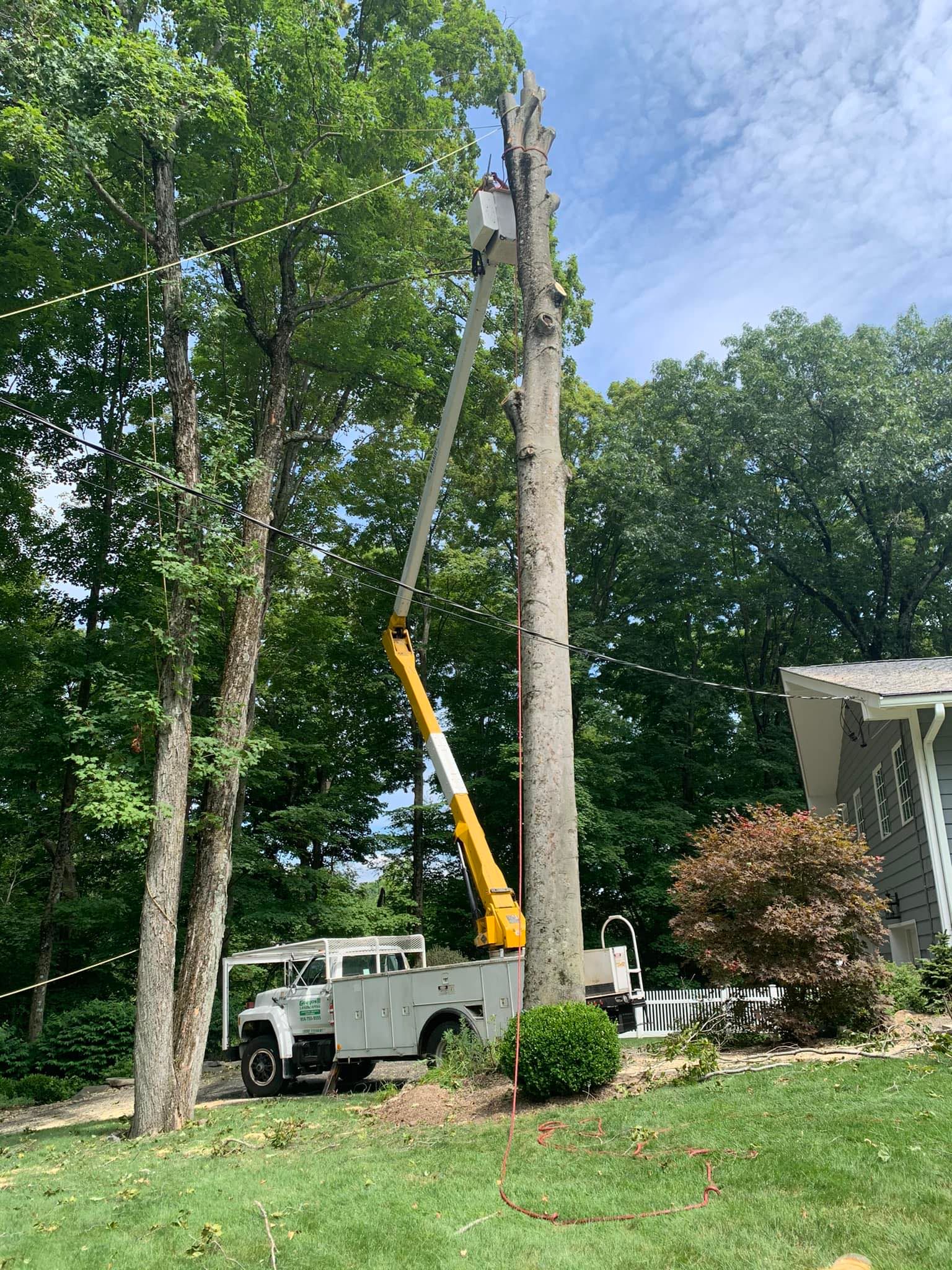 A crane is cutting a tree in front of a house.