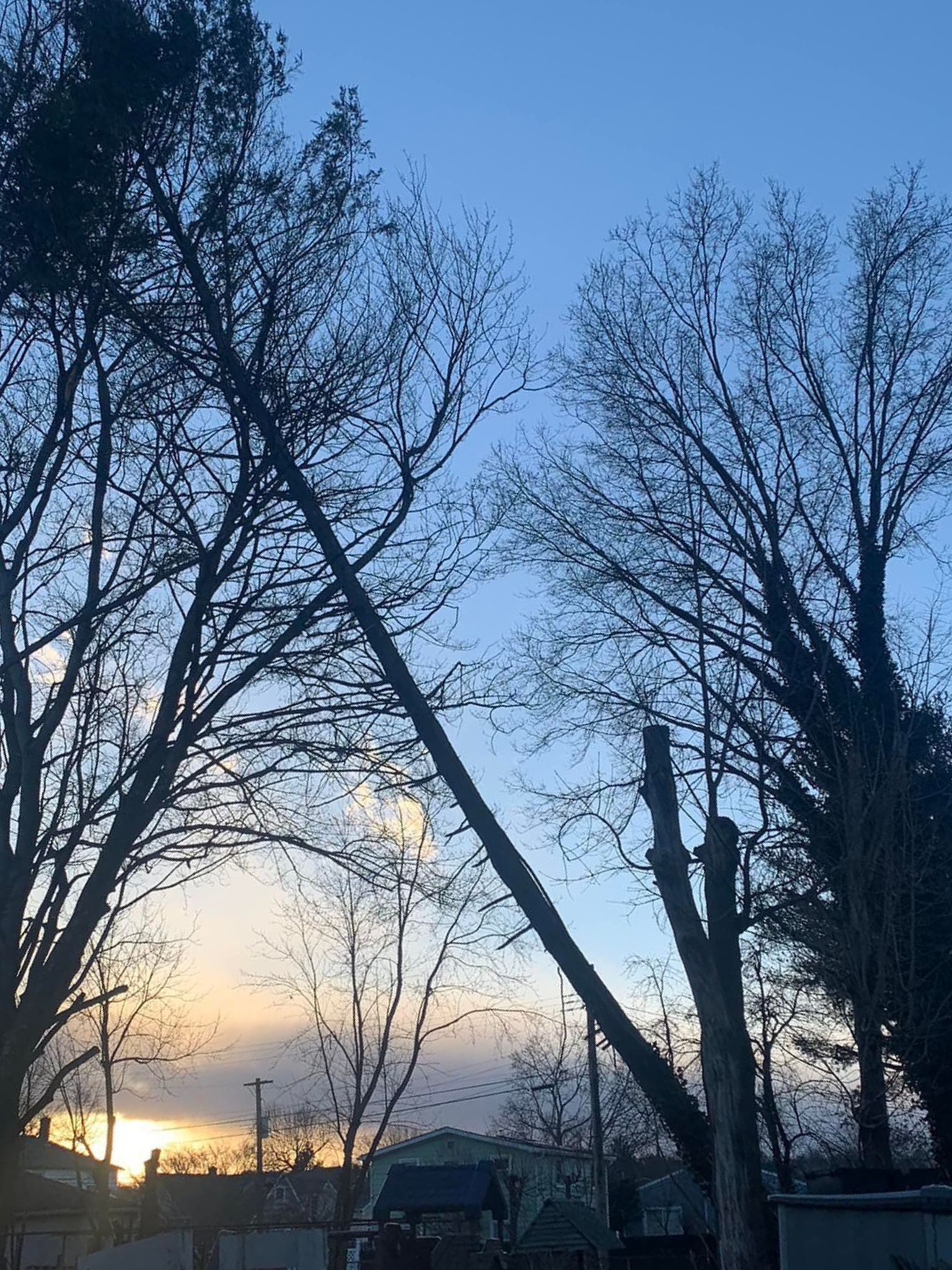 A white house with black shutters is surrounded by trees and bushes.