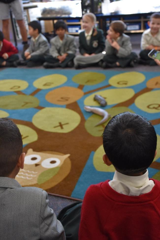 animal education class for kids