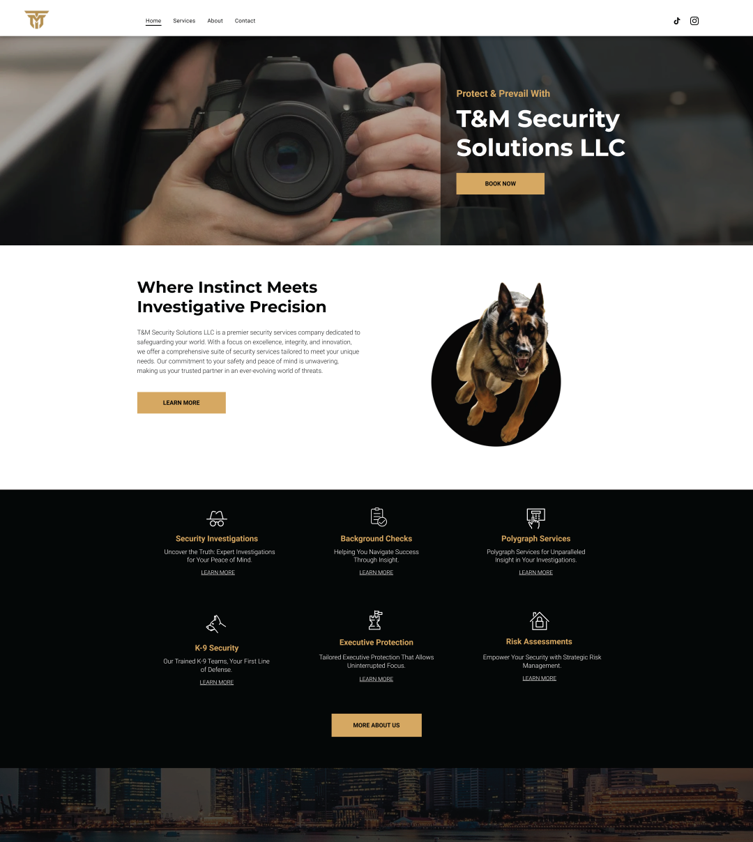 The homepage of T&M Security Solution's website