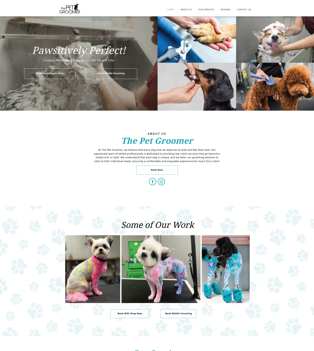 The homepage of The Pet Groomers website