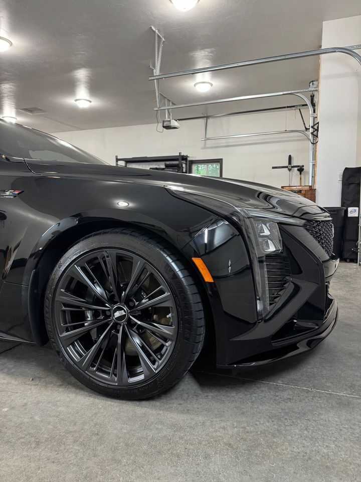 A black car is parked in a garage under a garage door.