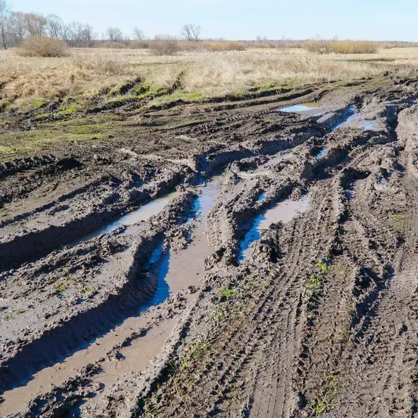 Muddy dirt road with deep tire ruts and puddles in a flat, grassy field under a clear sky