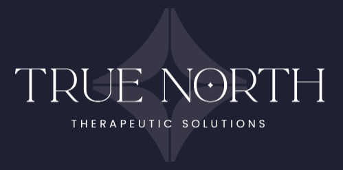 True north therapeutic solutions logo on a dark blue background
